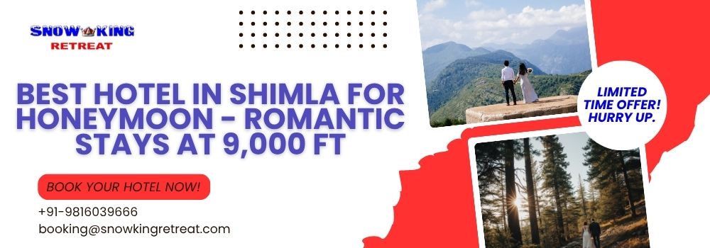 Best Hotel in Shimla for Honeymoon - Romantic Stays at 9,000 ft