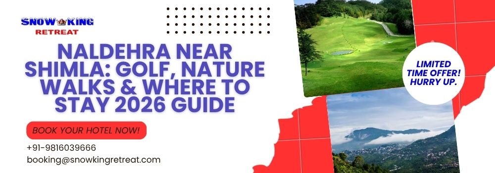 Naldehra Near Shimla Golf, Nature Walks & Where to Stay 2026 Guide