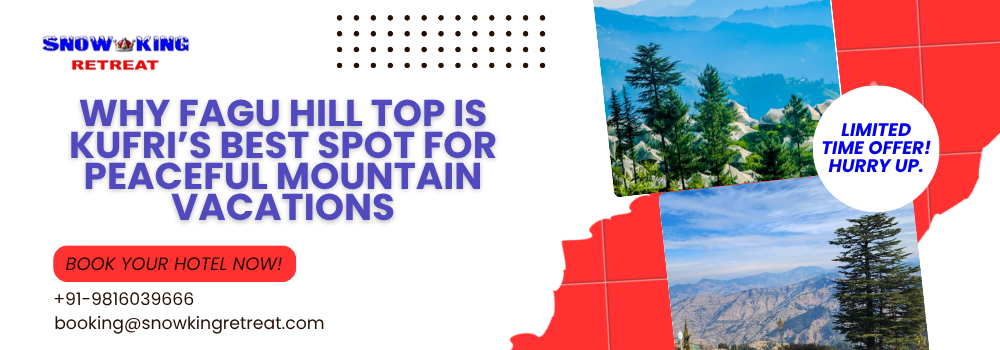 Why Fagu Hill Top is Kufri’s Best Spot for Peaceful Mountain Vacations
